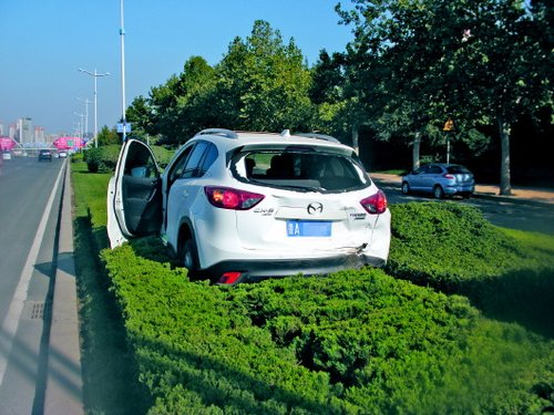 開車撞綠化帶